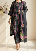 SMT W817 - Digital Printed 3pc Karandi Dress With Digital Printed Karandi Shawl.