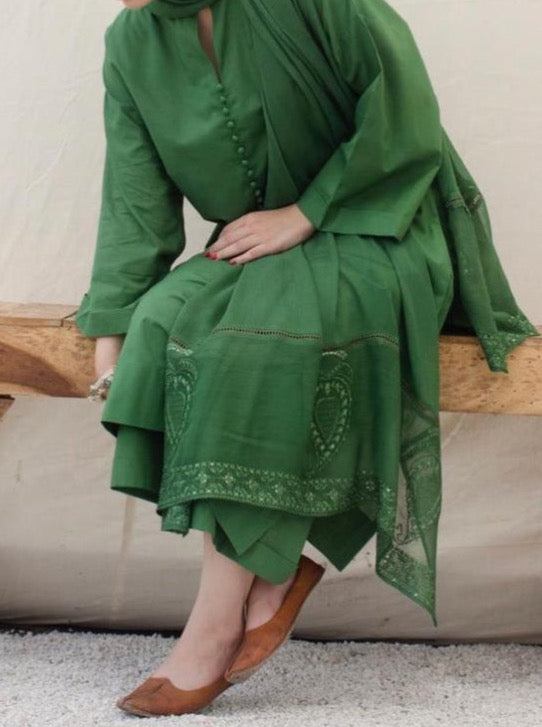 SMT S583-Embroidered 3pc organza dress with Printed organza duppata.